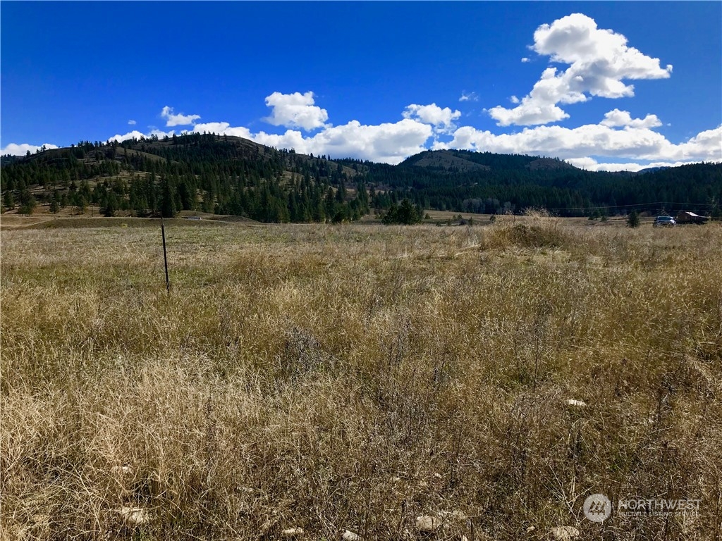 1-tbd Big Hole Road Republic, WA 99166 - Photo 3 of 4 Gallery Image 3