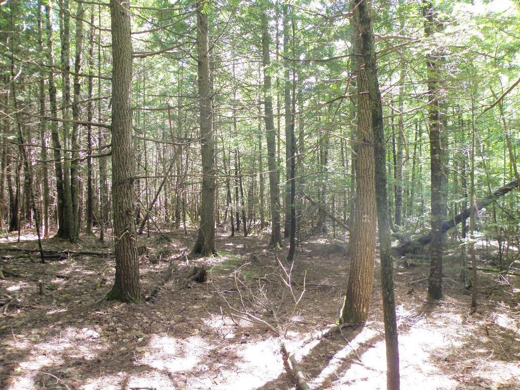 72 West Old Main Road Burlington, ME 04417 - Photo 3 of 17 Photo