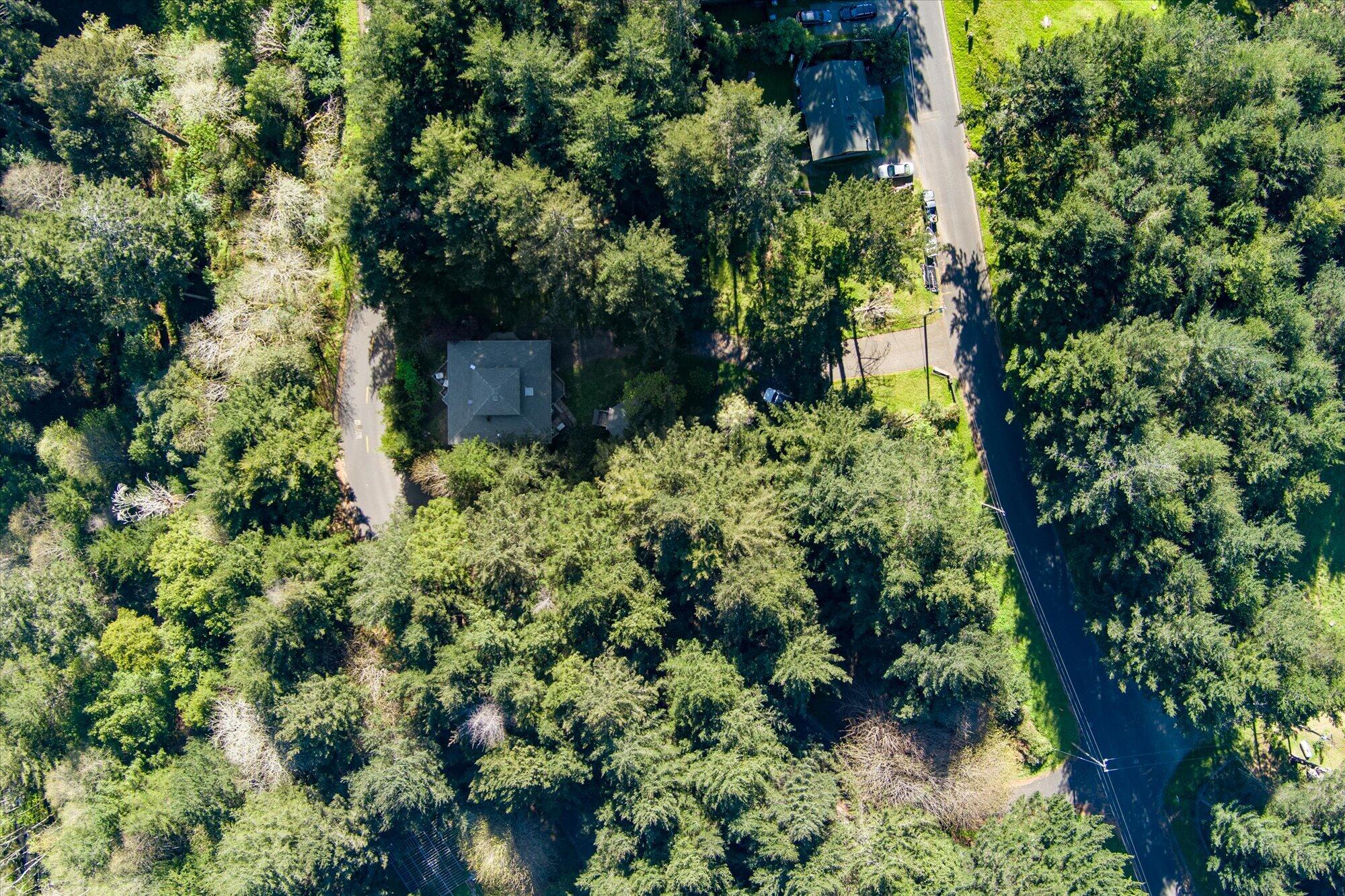 472 Beach Road Shelter Cove, CA 95589 - Photo 47 of 49