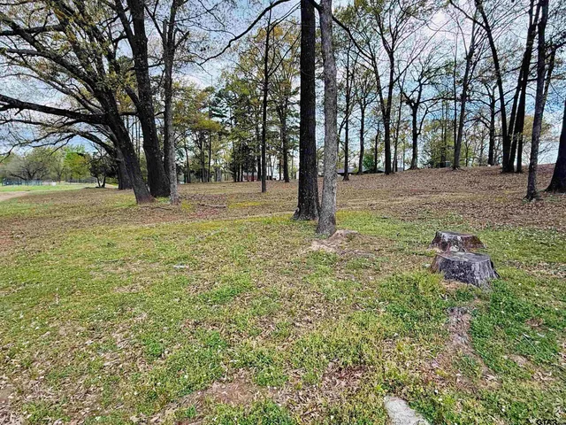 $329,000 | 75 County Road 4325, Pittsburg, TX 75686