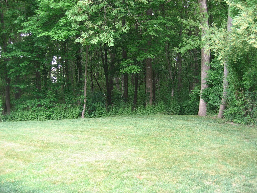14 Kimberly Road Scituate, MA 02066 - Photo 5 of 7 Gallery Image 5