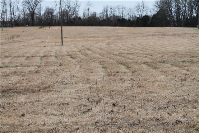 5 Providence Road Hartsville, TN 37087 - Photo 1 of 5 Beautiful, level lot. 4 bedroom perk site