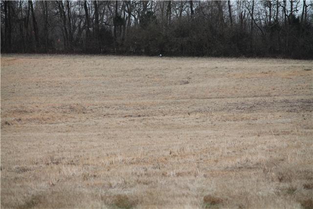5 Providence Road Hartsville, TN 37087 - Photo 4 of 5 Gallery Image 4
