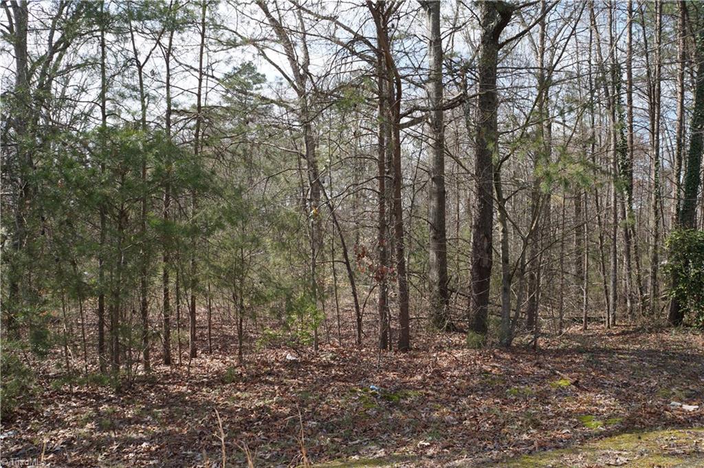 6576 Holder Road Clemmons, NC 27012 - Photo 3 of 15 Gallery Image 3