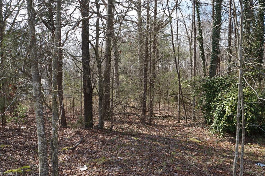6576 Holder Road Clemmons, NC 27012 - Photo 4 of 15 Gallery Image 4