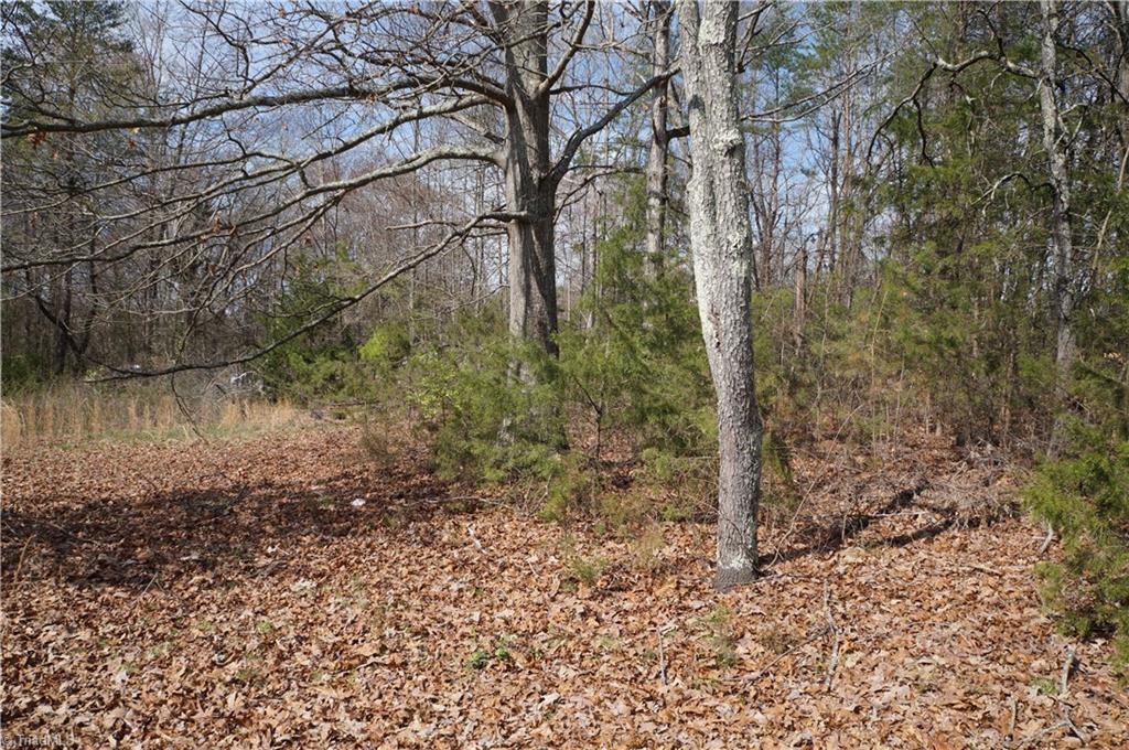 6576 Holder Road Clemmons, NC 27012 - Photo 6 of 15 Gallery Image 6