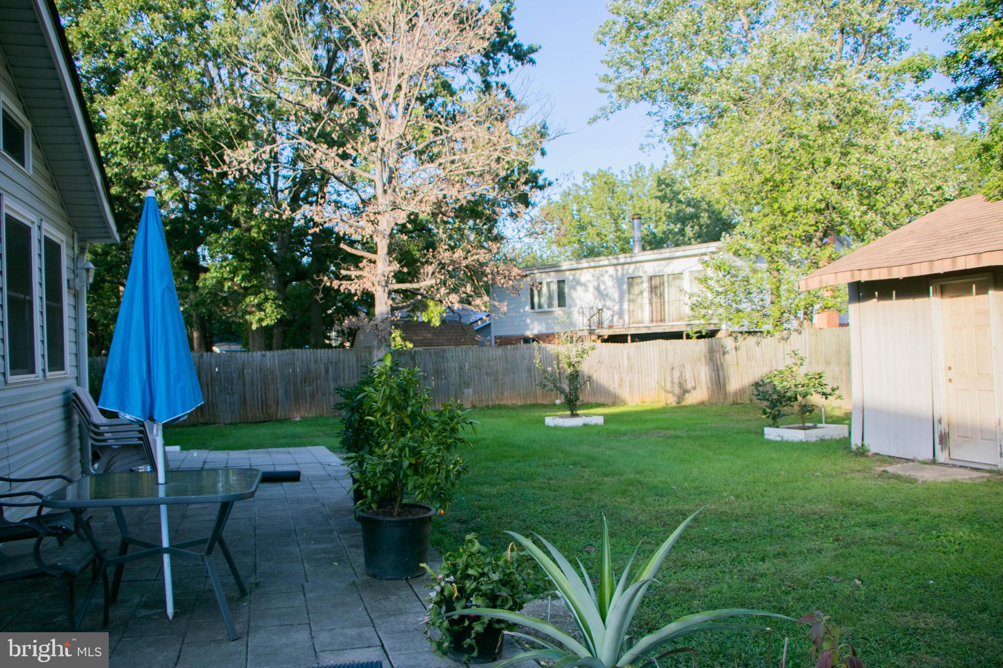 BEAUTIFULL BACKYARD