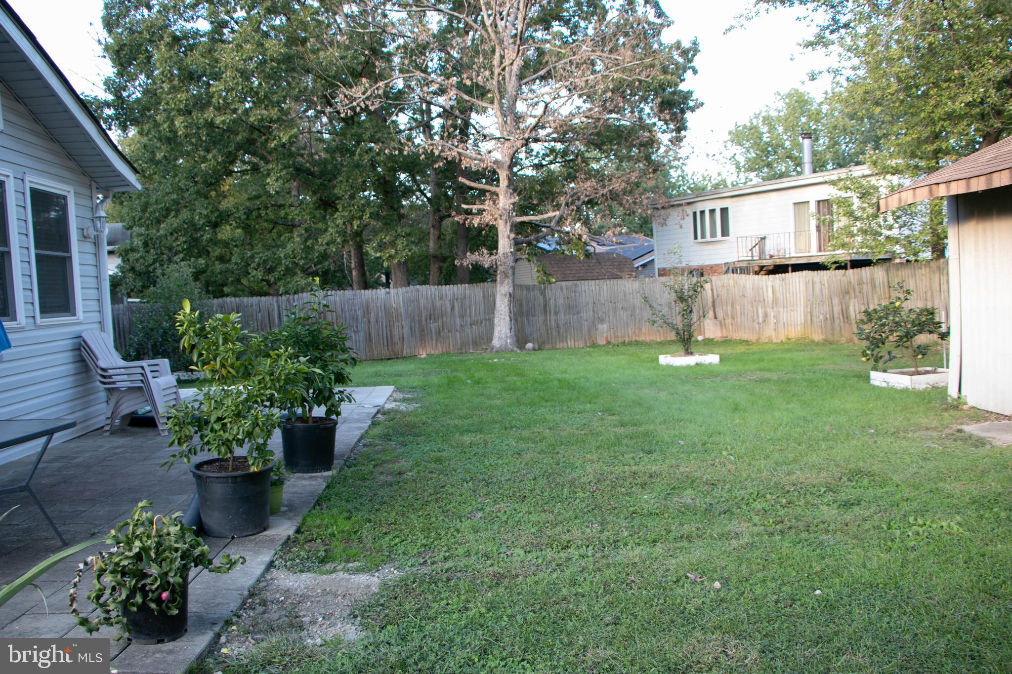 BEAUTIFULL BACKYARD