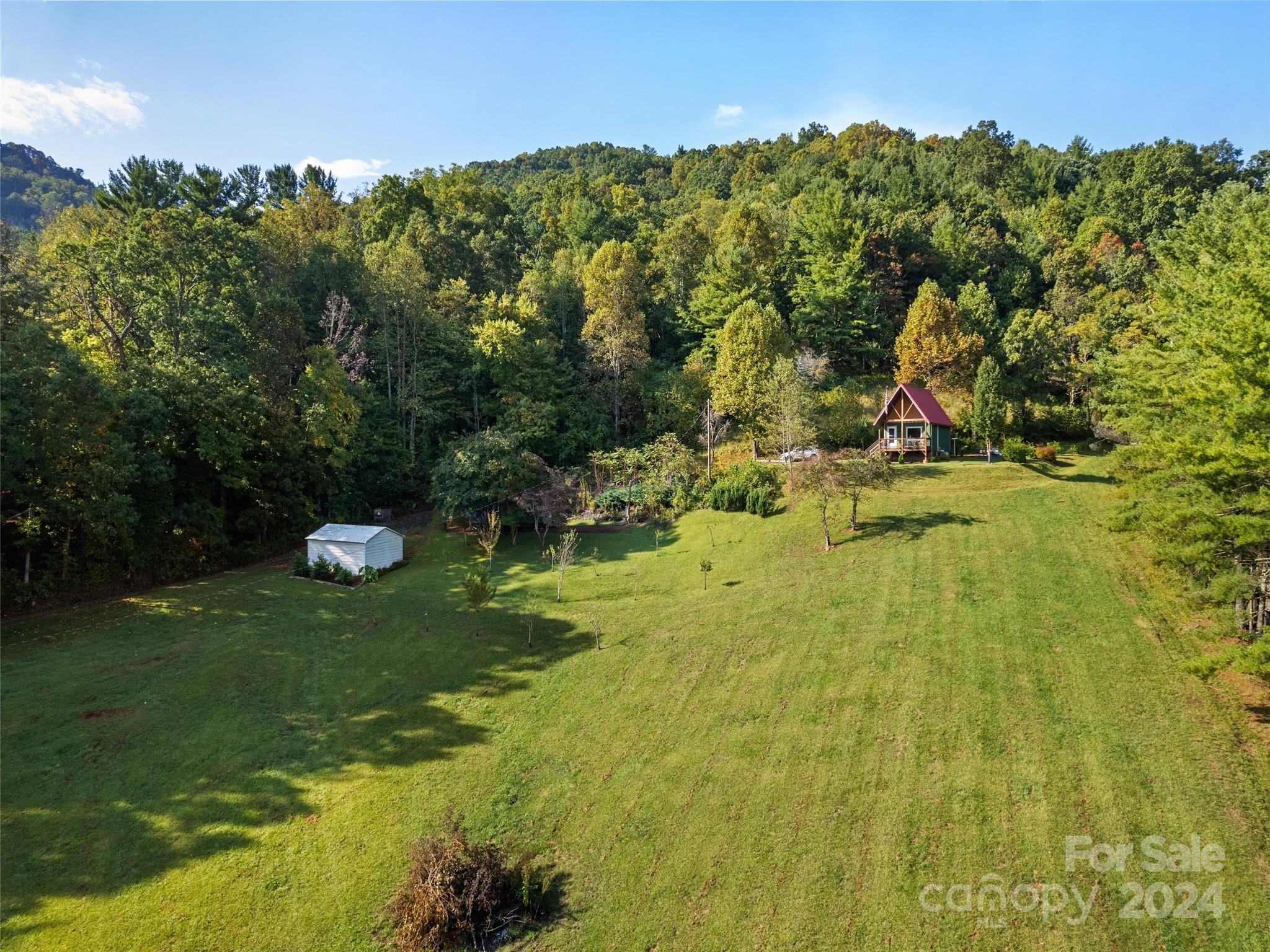 127 Shope Road Asheville, NC 28805 - Photo 3 of 25 Gallery Image 3