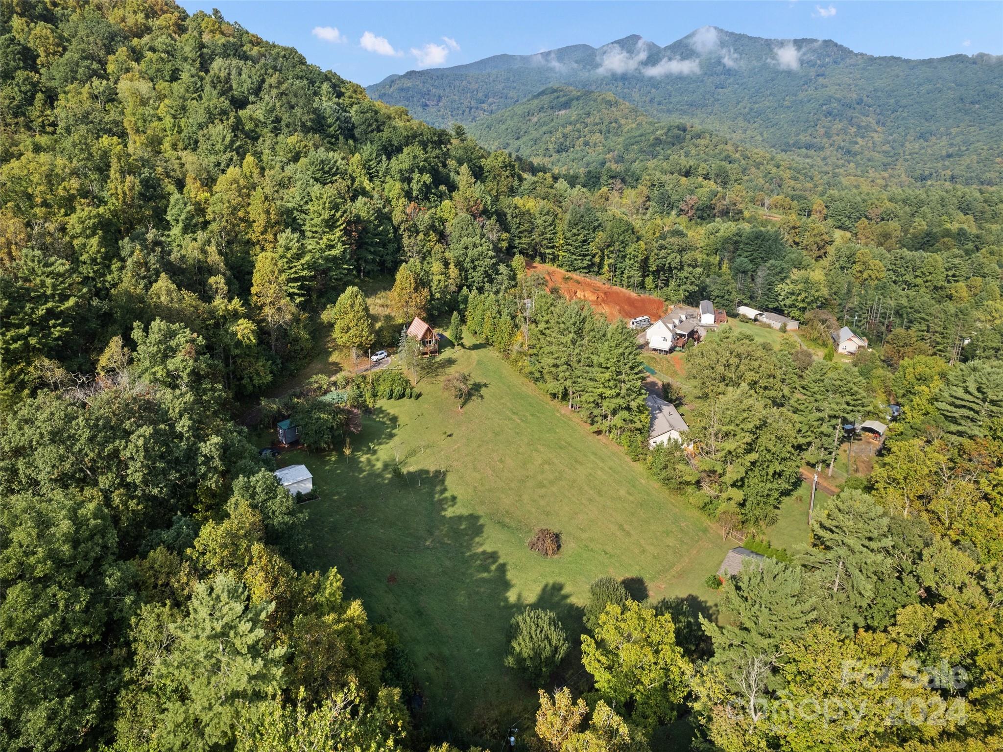127 Shope Road Asheville, NC 28805 - Photo 6 of 25 Gallery Image 6
