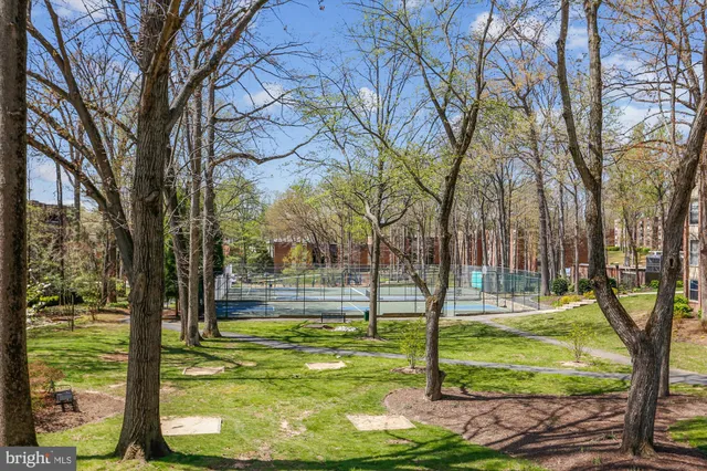 a view of an house with backyard and trees