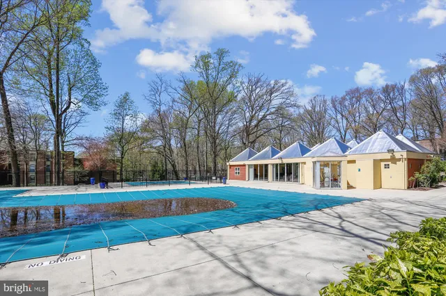 a view of street with flower on a table and potted plants