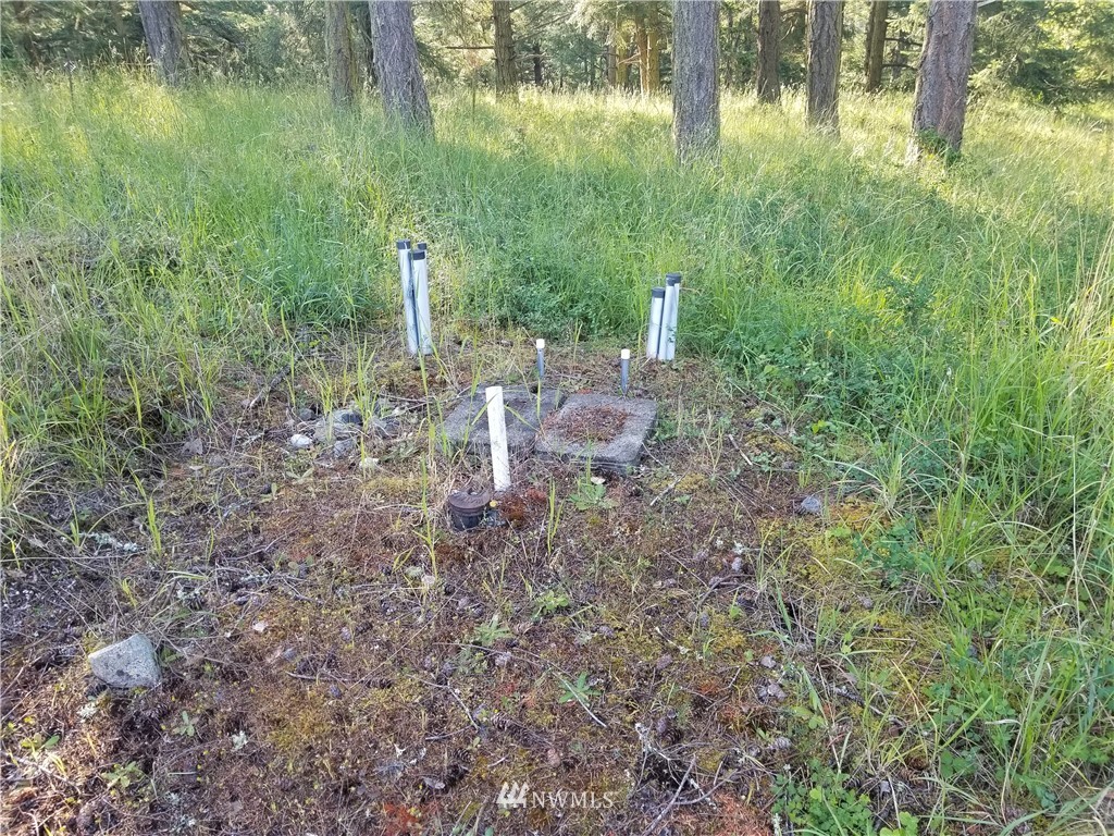 20 Mossyrock Road Friday Harbor, WA 98250 - Photo 10 of 11 Gallery Image 10