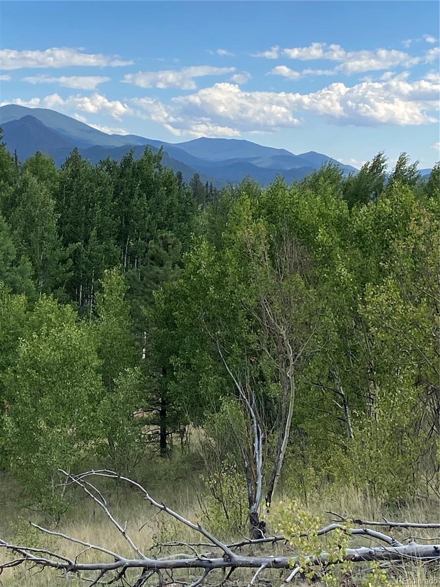 259 Bordenville Road Jefferson, CO 80456 - Photo 3 of 47 a view of a city with lush green forest
