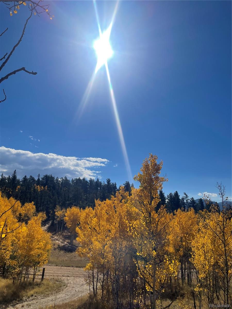 259 Bordenville Road Jefferson, CO 80456 - Photo 40 of 47 a view of lake and mountain