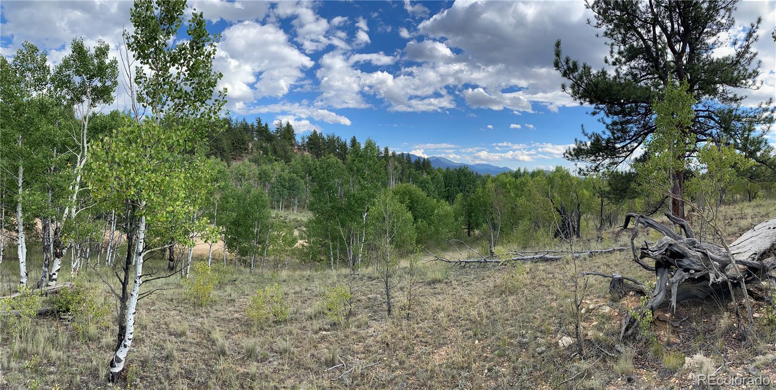 259 Bordenville Road Jefferson, CO 80456 - Photo 4 of 47 a view of a big yard with lots of green space