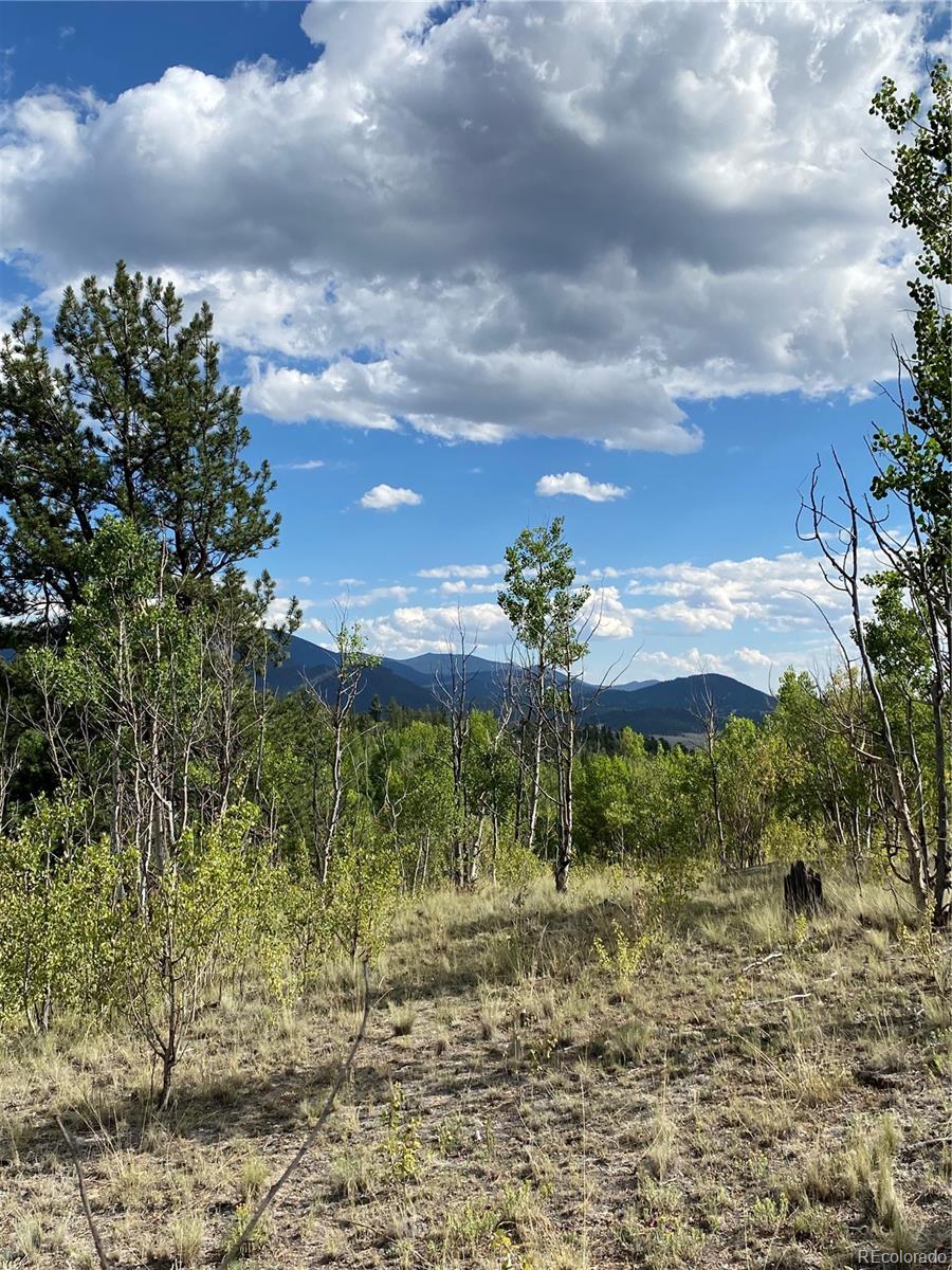 259 Bordenville Road Jefferson, CO 80456 - Photo 6 of 47 a view of a yard with plants and a building