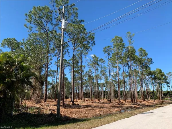 a view of outdoor space with trees