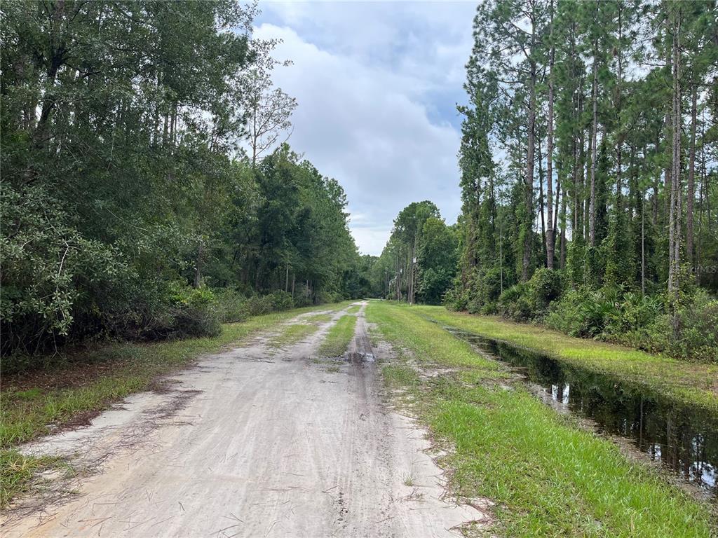 117 Mosswood Street Georgetown, FL 32139 - Photo 2 of 8 a view of a water pond with green space