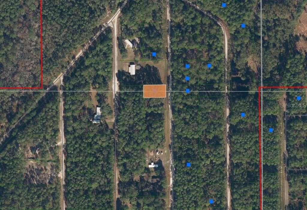 117 Mosswood Street Georgetown, FL 32139 - Photo 8 of 8