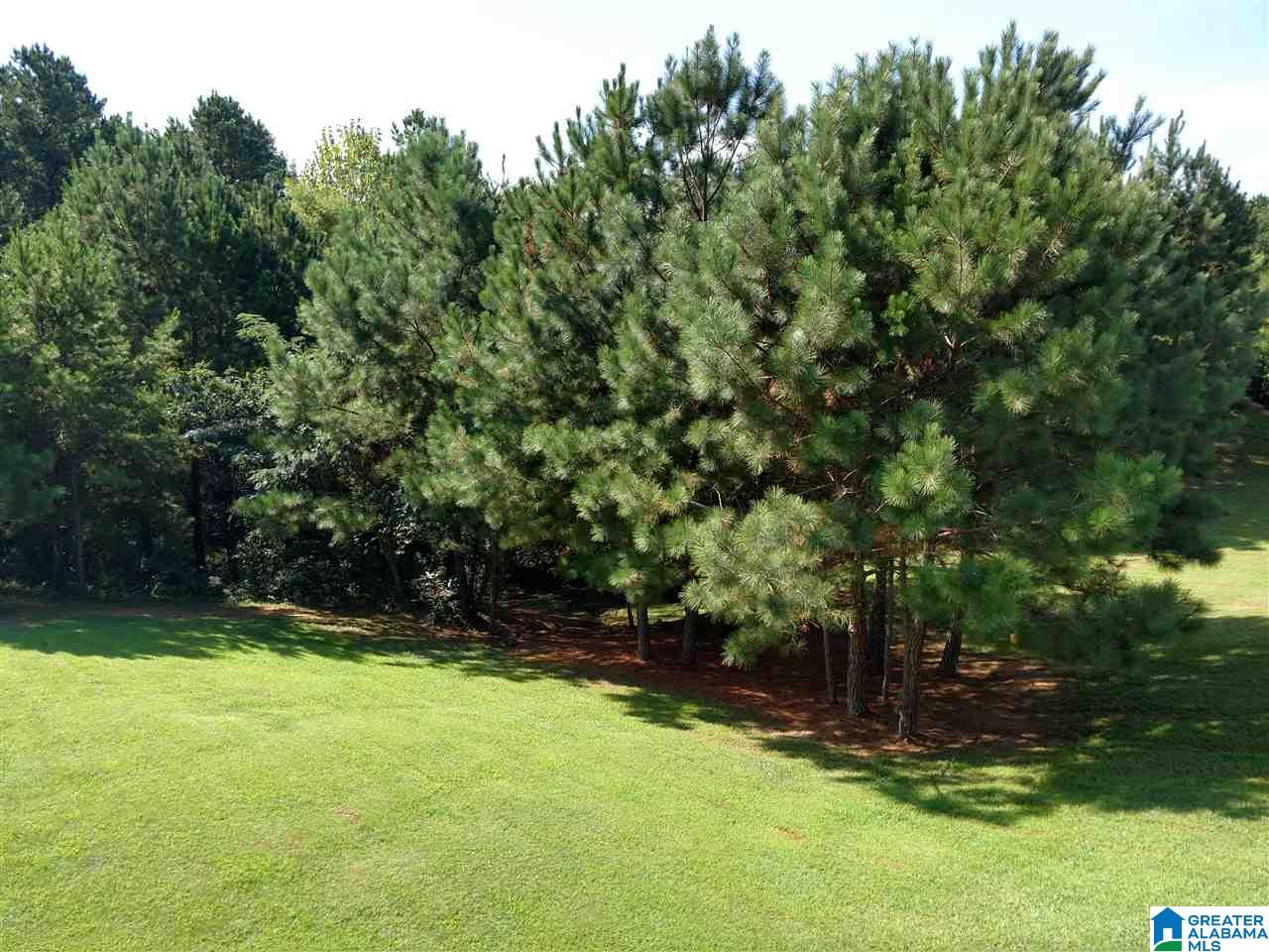 95 Woodland Ridge Road Odenville, AL 35120 - Photo 25 of 38 Gallery Image 25