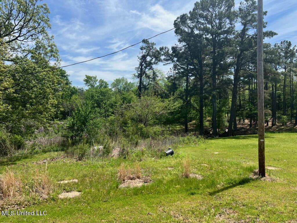 51 Cathy Road Byhalia, MS 38611 - Photo 5 of 5 IMG_5849