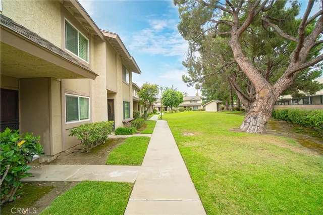 a view of a yard with plants and a large tree
