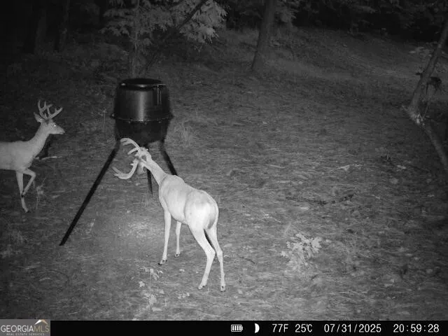 $80,000 | 2310 East Hermitage Road, Rome, GA 30161