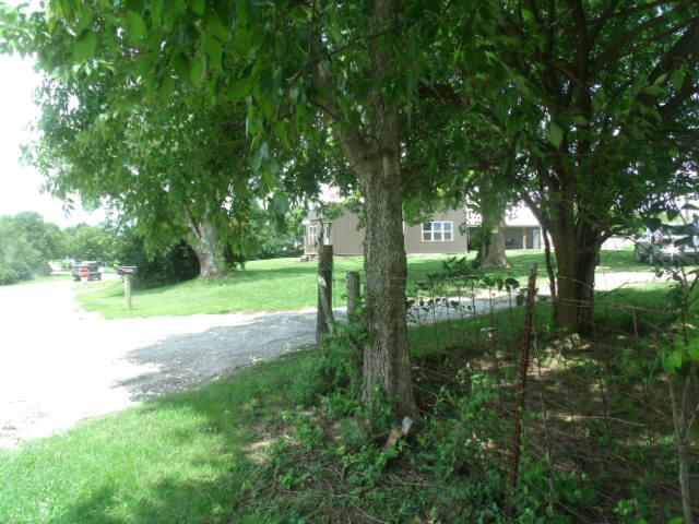 812 Peytona Beach Road Waddy, KY 40076 - Photo 87 of 166 Peytona Beach Waddy ky July 2021 056