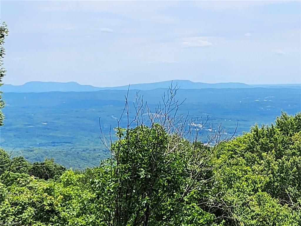 54 Overlook Way Fancy Gap, VA 24328 - Photo 3 of 32
