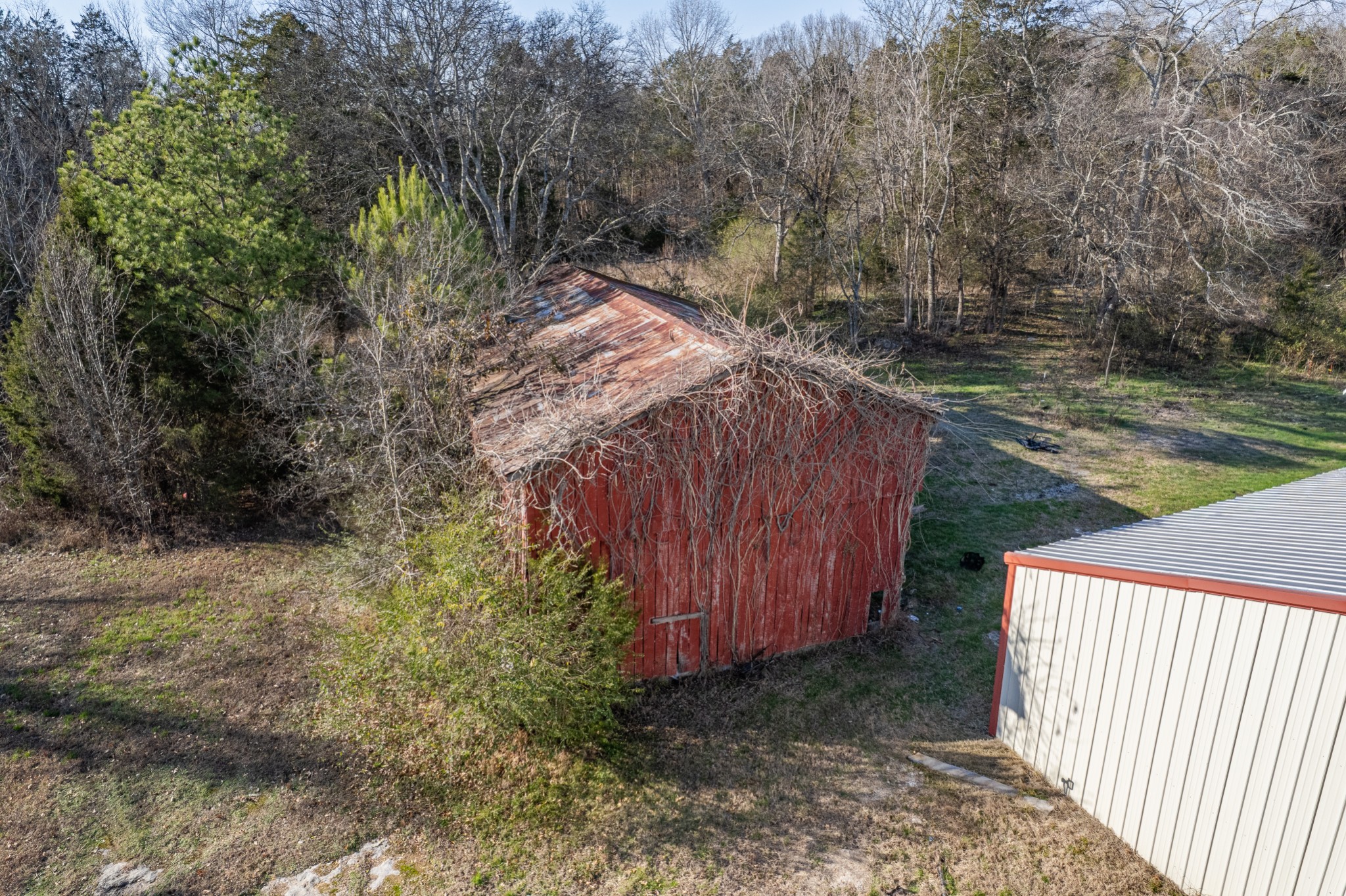 2318 Verona Caney Road Lewisburg, TN 37091 - Photo 52 of 70 a view of a backyard with large trees and wooden fence