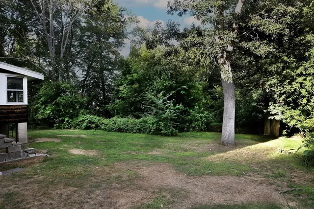 a view of a trees in a yard