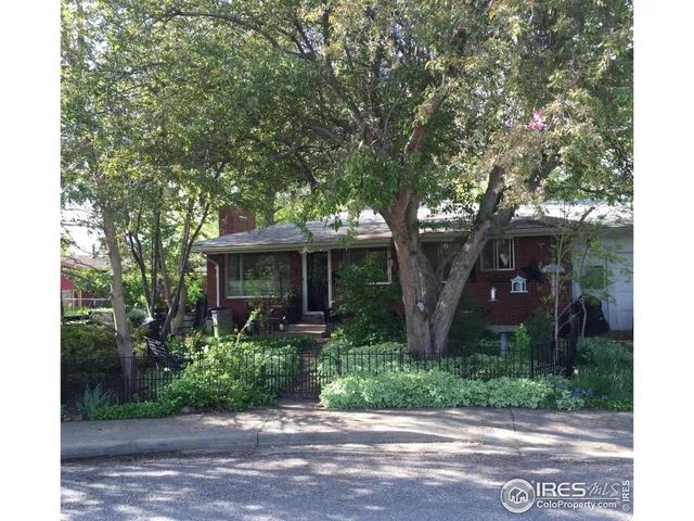 a view of a yard with plants and large trees