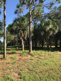 301 Lanack Road Southeast Palm Bay, FL 32909 - Photo 2 of 4 301 Lanack Rd SE