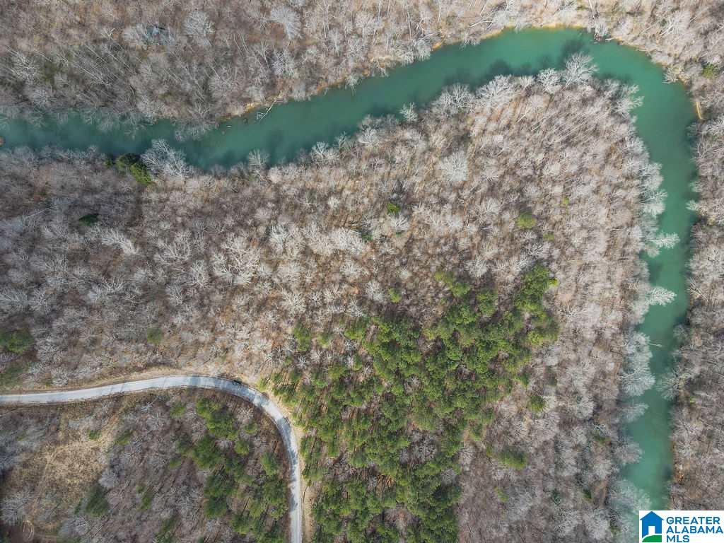 Lot #8 Turkey Bend Drive, Unit 8 Addison, AL 35540 - Photo 7 of 13