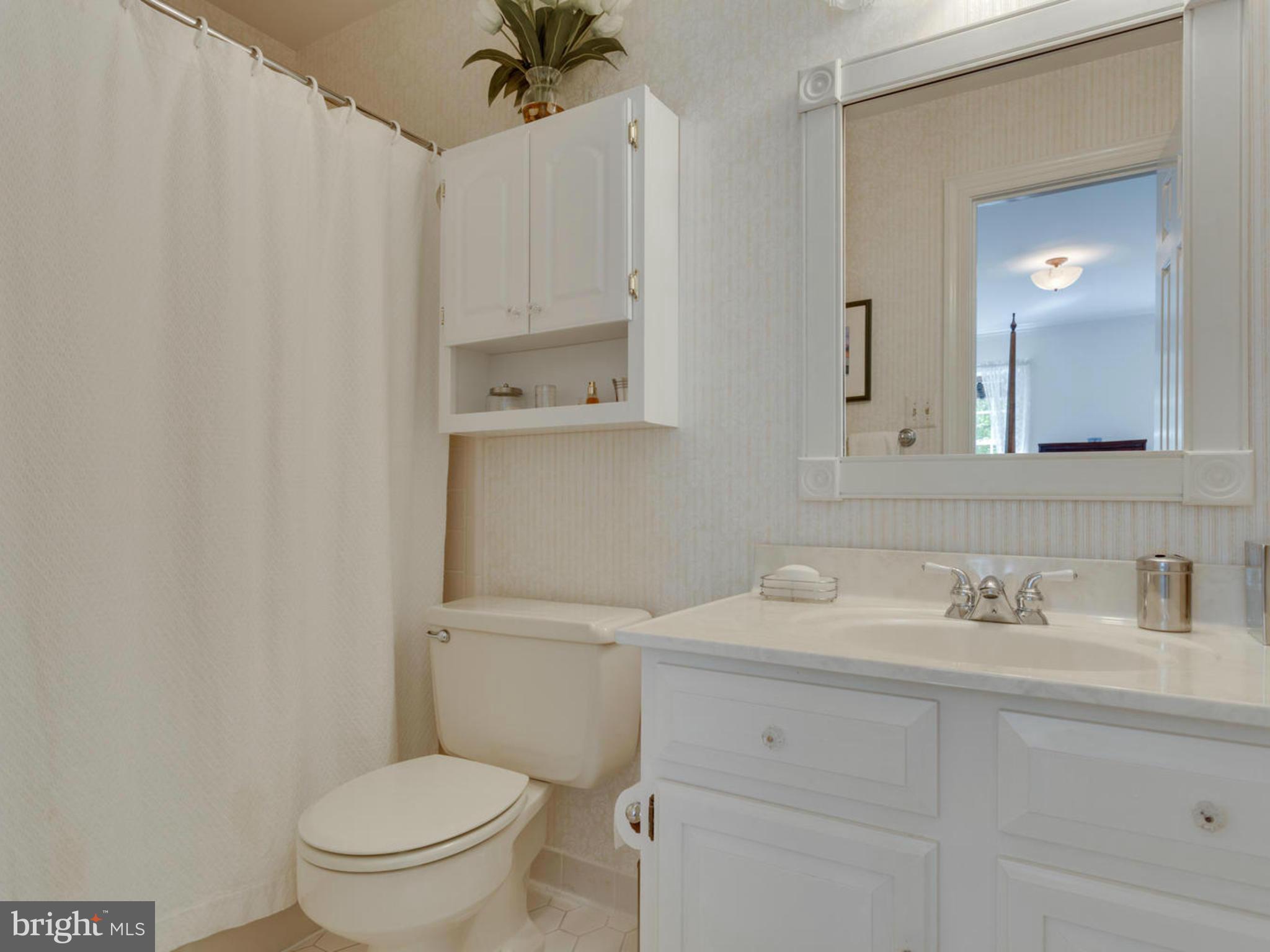 1300 Skipwith Road McLean, VA 22101 - Photo 14 of 30 Bath