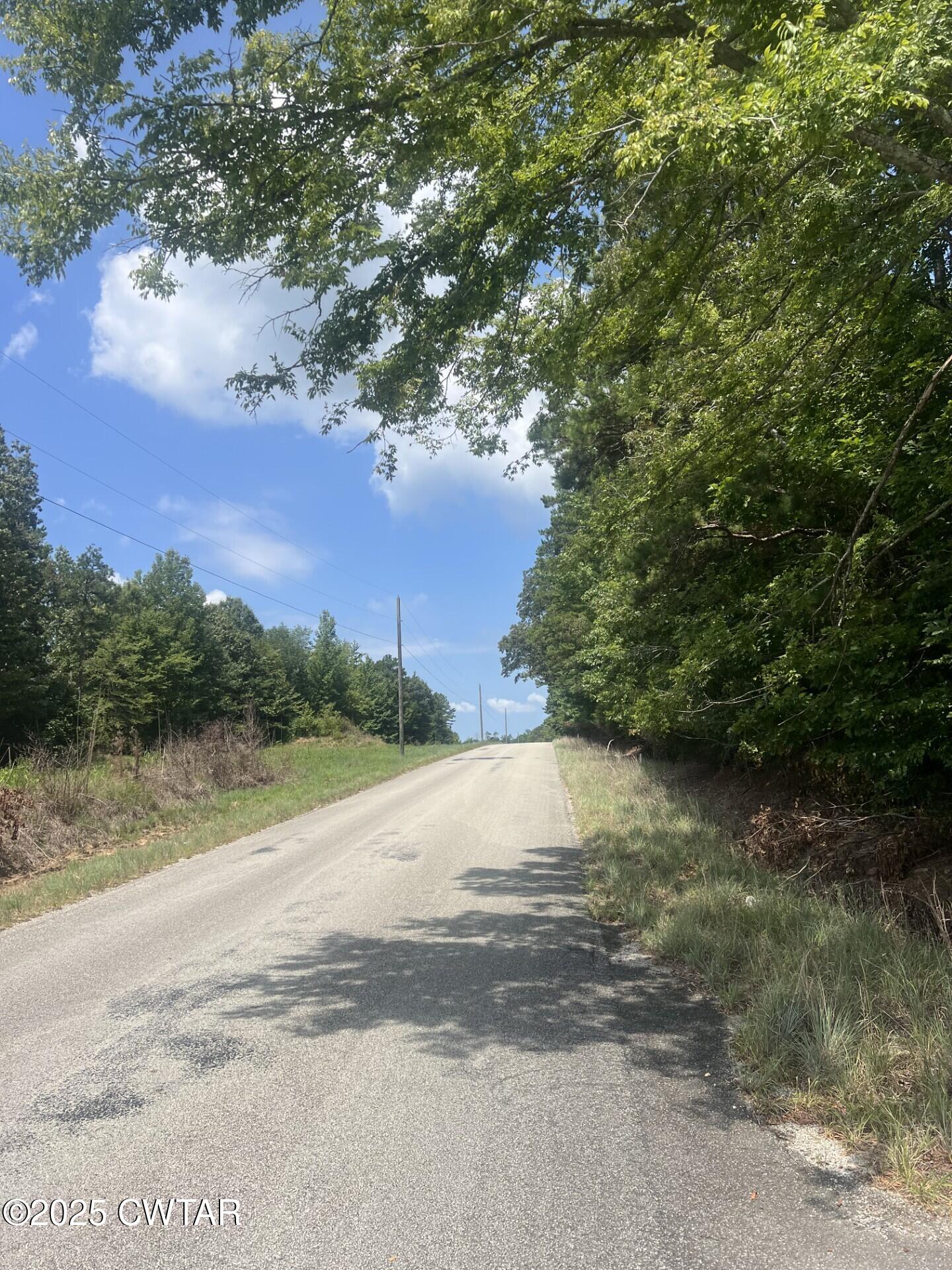 0 Butler (lot 22) Road Pinson, TN 38366 - Photo 3 of 4 a view of a lake with mountain in the background