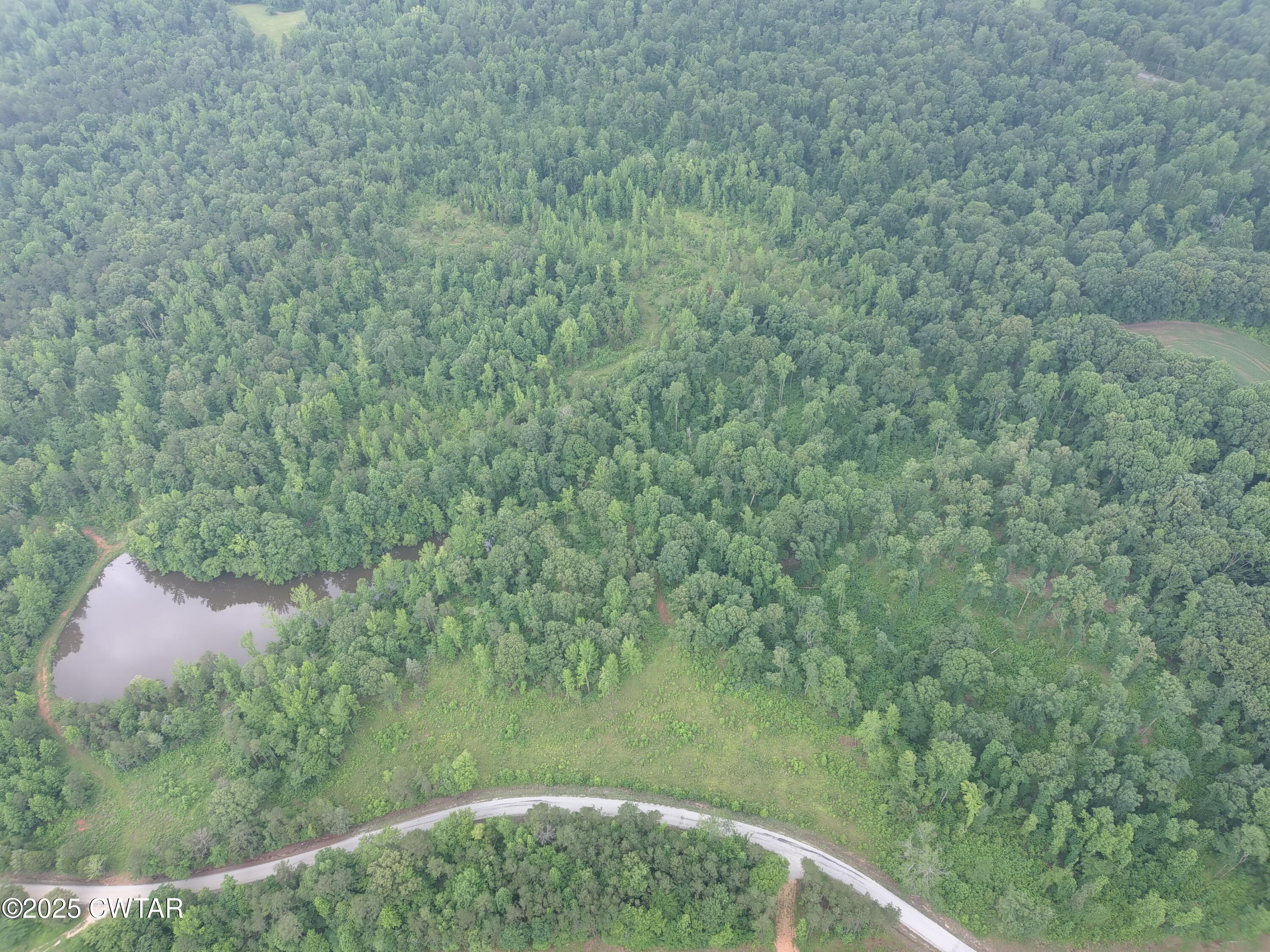 0 Butler (lot 22) Road Pinson, TN 38366 - Photo 4 of 4 a view of a forest from a window
