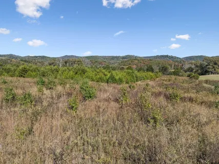 $125,000 | 6.06 Old Sink Church Road, Tellico Plains, TN 37385