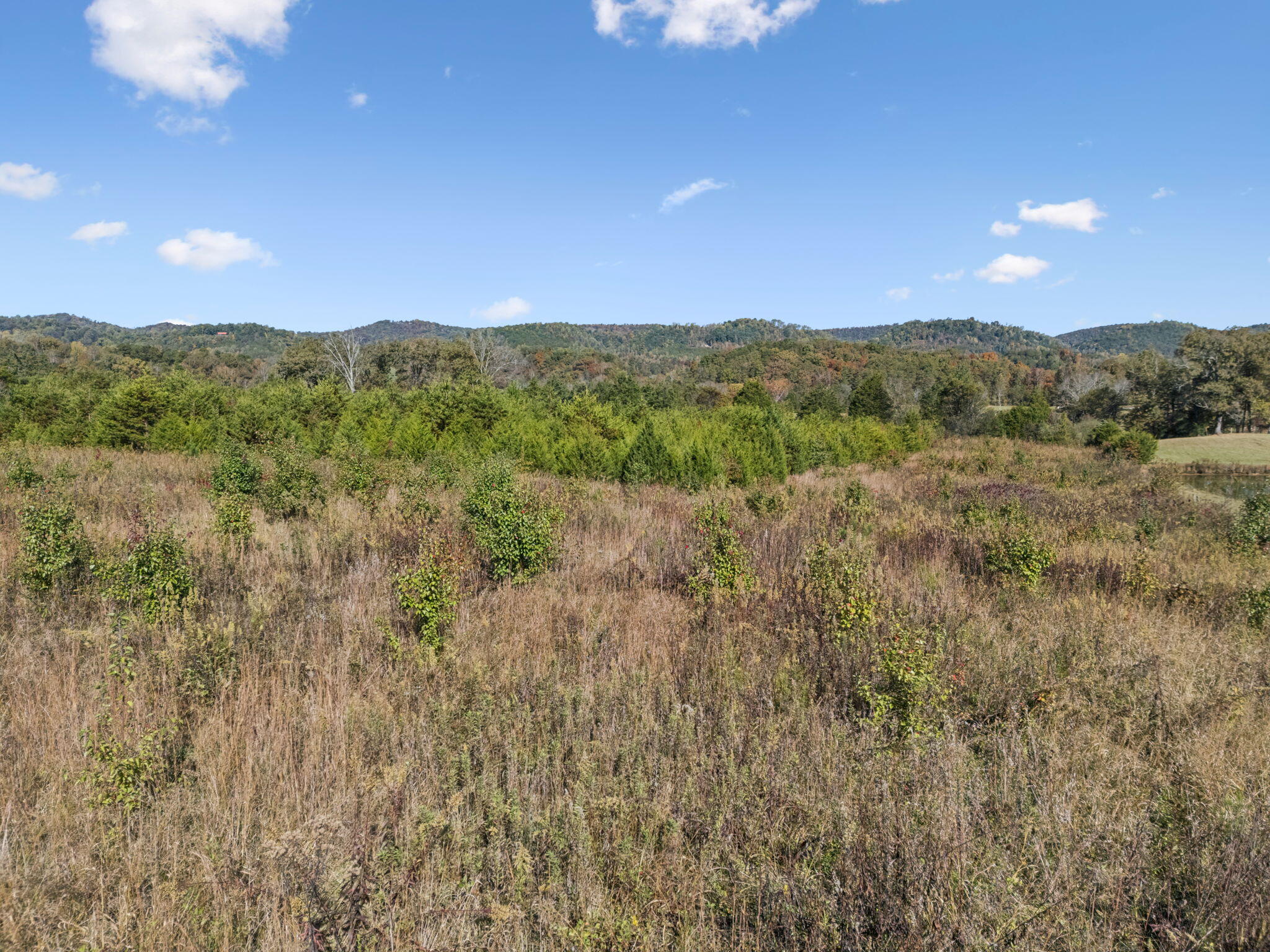 6.06 Old Sink Church Road Tellico Plains, TN 37385 - Photo 16 of 17 15-Cty Rd 731, TN 37385 - 013