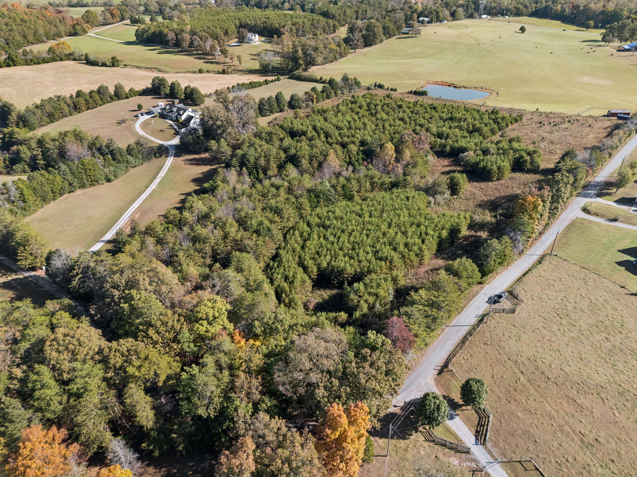 6.06 Old Sink Church Road Tellico Plains, TN 37385 - Photo 2 of 17 12-Cty Rd 731, TN 37385 - 010