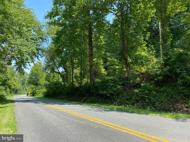 a view of a yard with a trees
