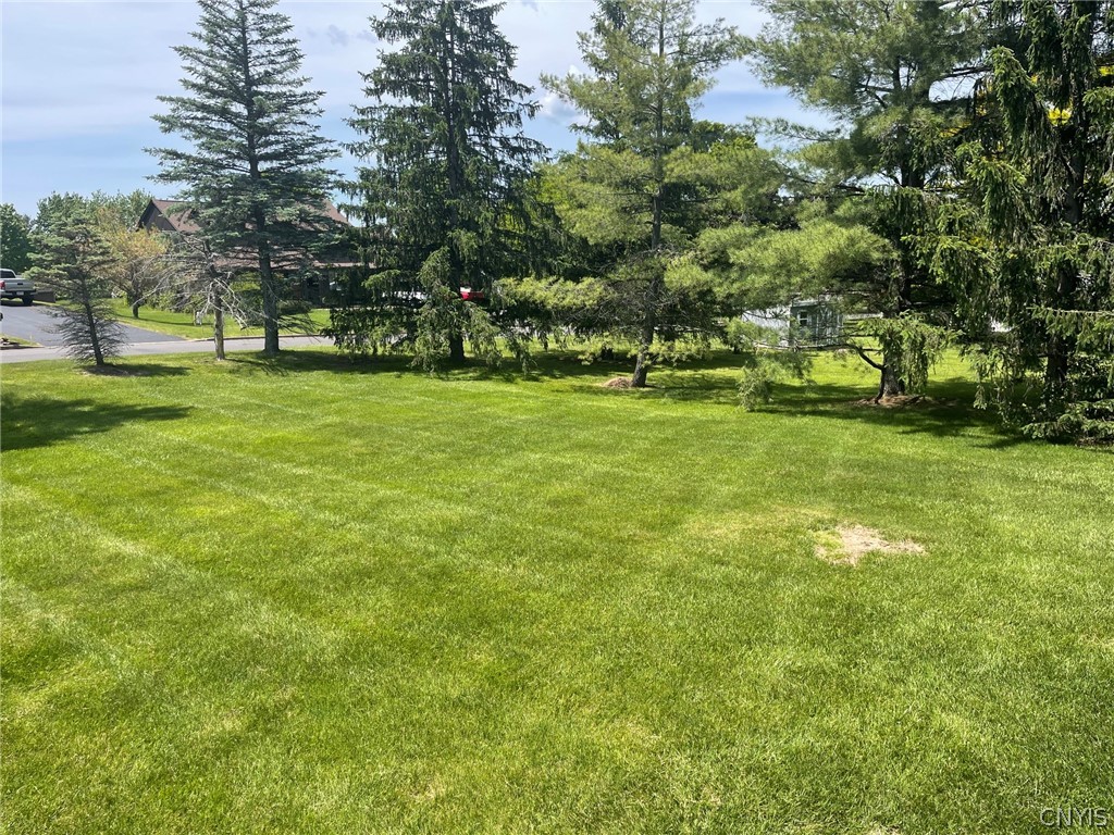 576 Stoneleigh Road Oneida, NY 13421 - Photo 6 of 43 Rear yard is great!