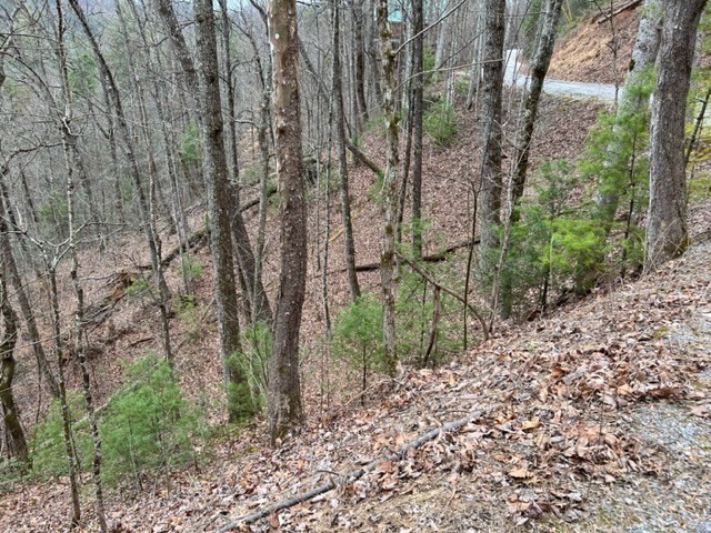 4 Sunset Road Sevierville, TN 37862 - Photo 4 of 15