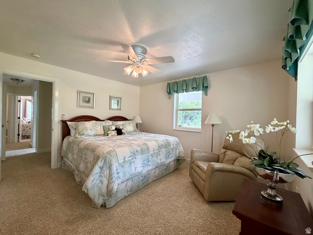 1133 Paris Canyon Road Paris, ID 83261 - Photo 16 of 75 Spacious premier bedroom featuring a large walk-in closet and private bath
