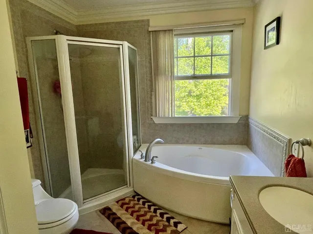 a bathroom with a granite countertop bathtub toilet and shower
