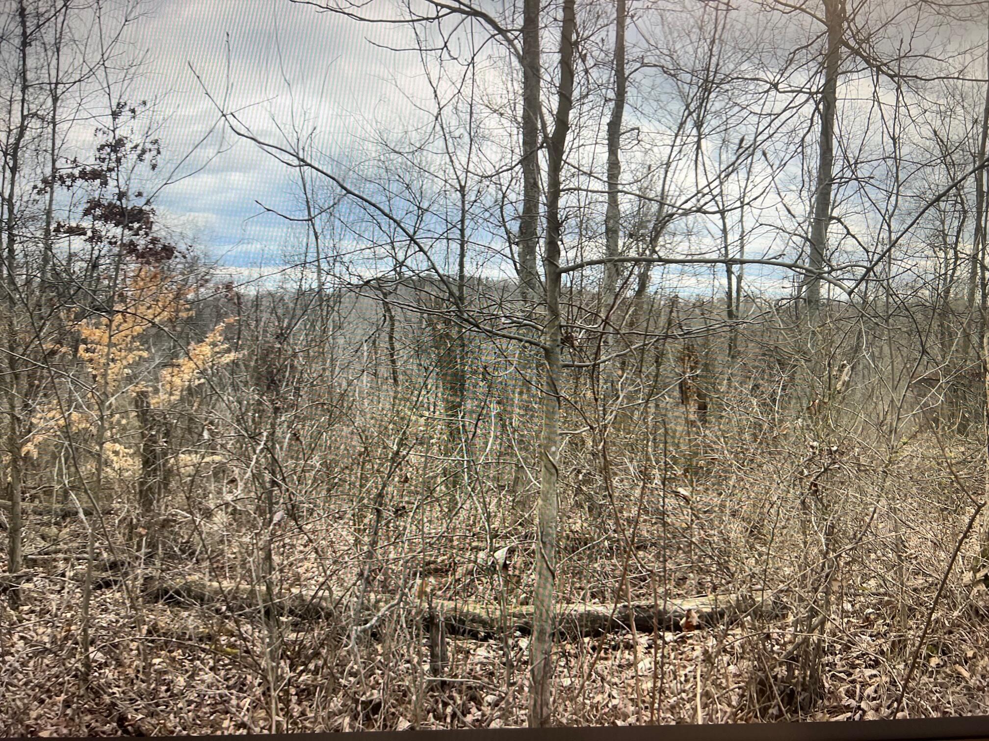 5502 Irish Ridge Road Southeast Corning, OH 43730 - Photo 5 of 19 5