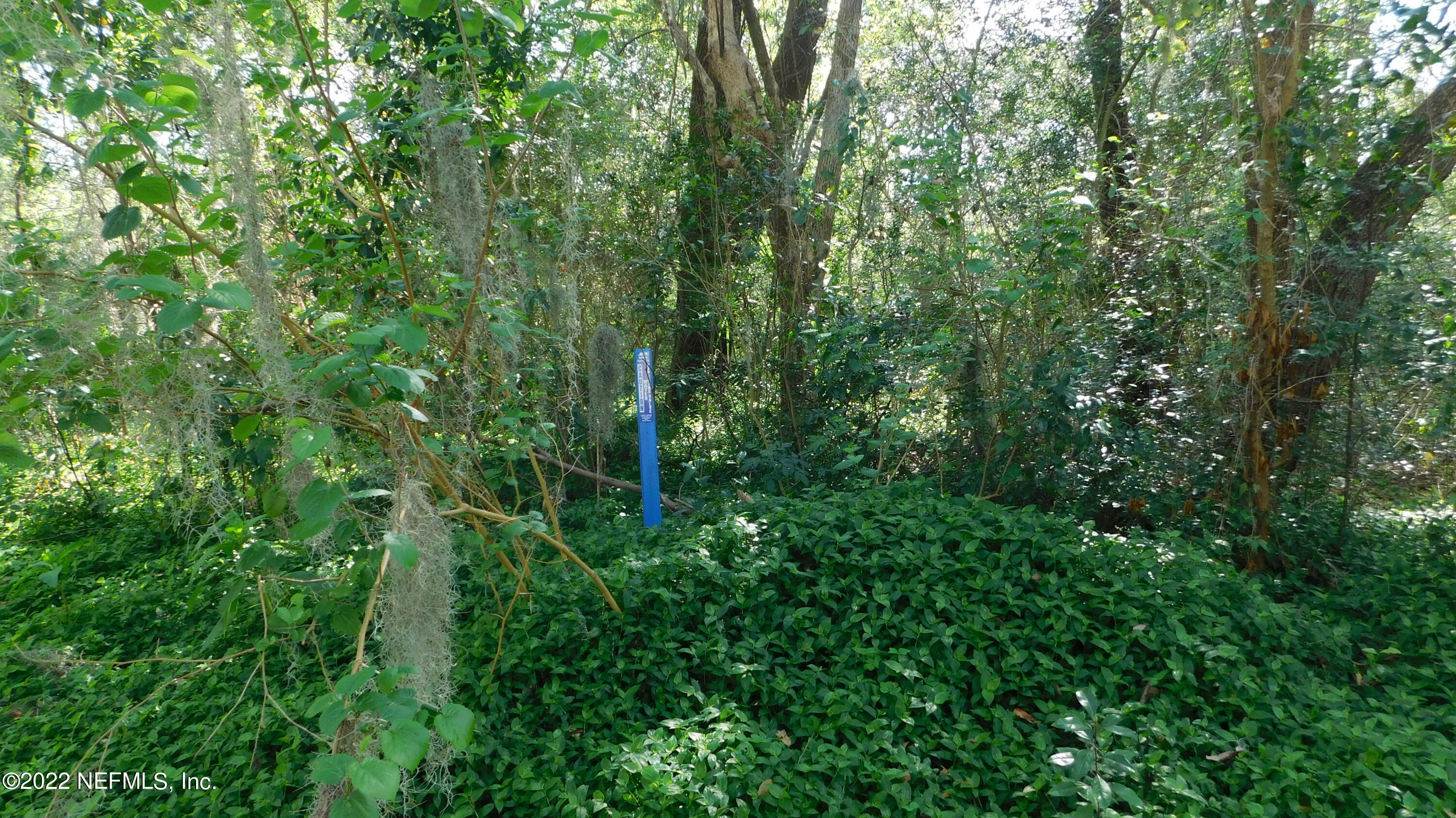 0 Bergman Road Jacksonville, FL 32208 - Photo 7 of 10 a view of a lush green forest