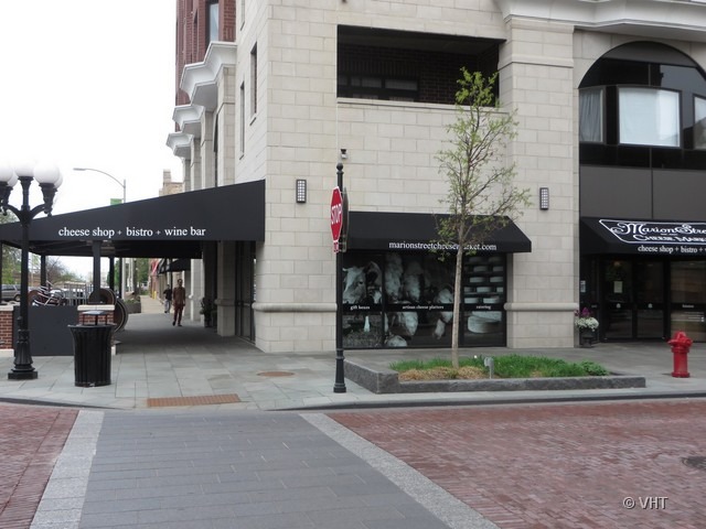 182 North Marion Street, Unit NONE Oak Park, IL 60301 - Photo 20 of 25