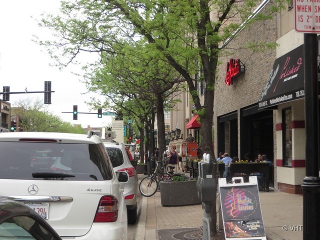 182 North Marion Street, Unit NONE Oak Park, IL 60301 - Photo 24 of 25